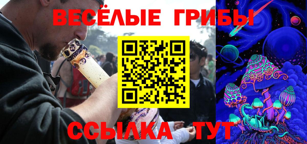 что такое   Галлюциногенные грибы Psilocybe  Вход с VPN  Кызыл 